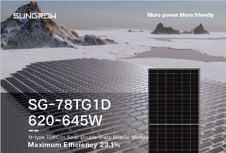 Solar Panel SG-78TG1D 620-645W