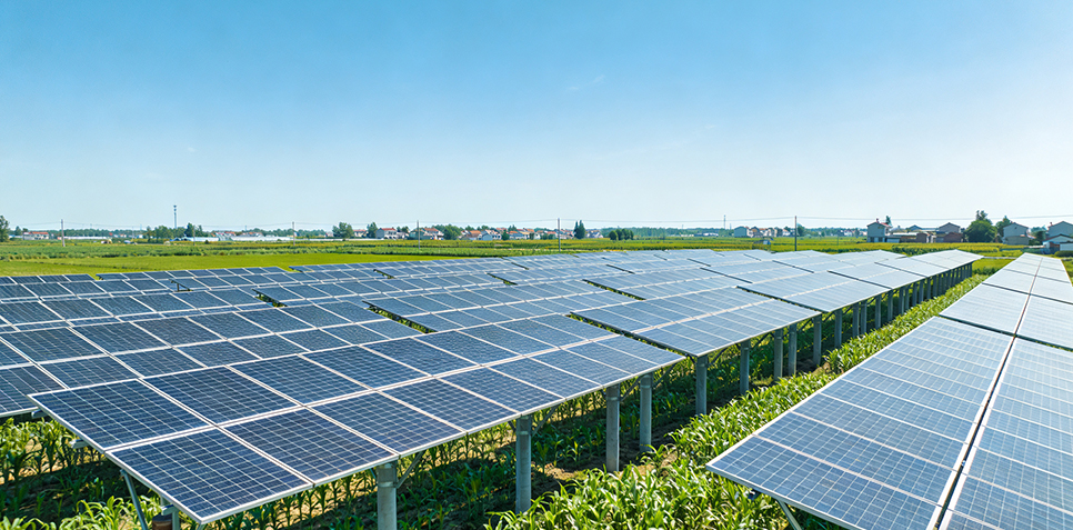 农业清洁能源场景